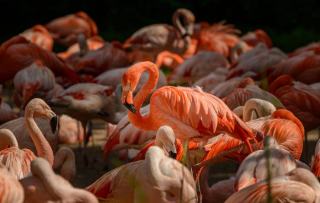Gîte de charme en Camargue : mas, chevaux et delta du Rhône