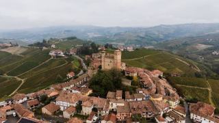 Gîte au cœur des vignobles : œnotourisme et vendanges en France
